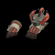 ARM