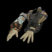 ARM