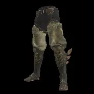 LEG