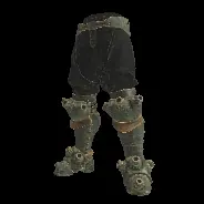 LEG