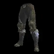 LEG