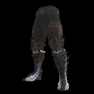 LEG