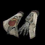 ARM