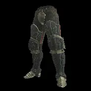 LEG