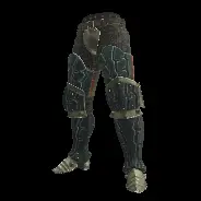 LEG