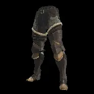 LEG
