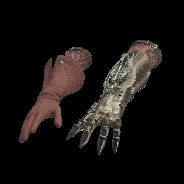ARM