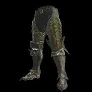 LEG