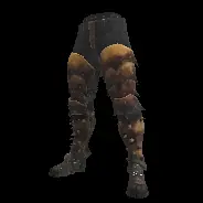 LEG