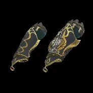 ARM