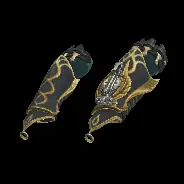 ARM