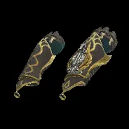 ARM