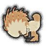 Porkeplume